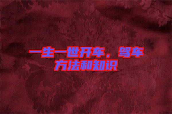 一生一世開車，駕車方法和知識