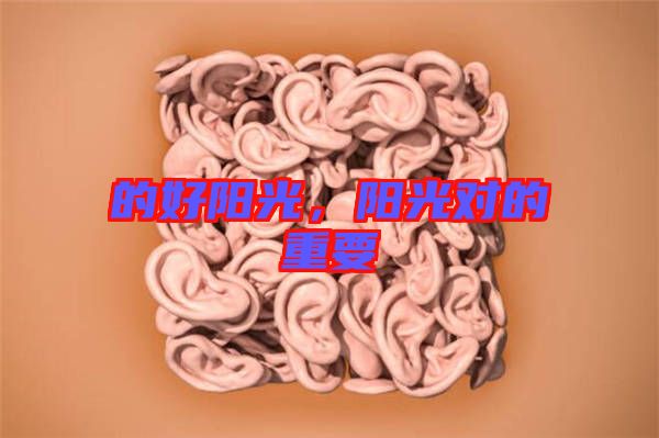 的好陽光，陽光對(duì)的重要