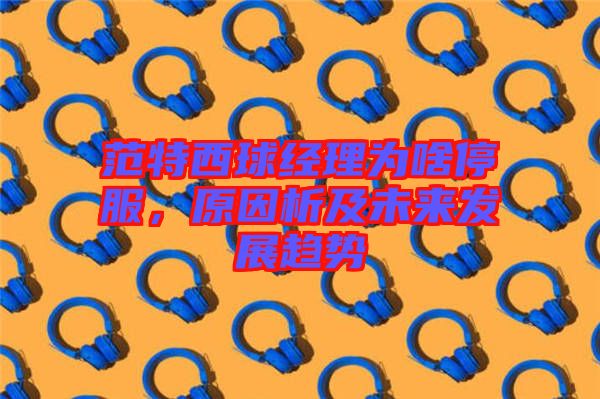 范特西球經理為啥停服，原因析及未來發(fā)展趨勢