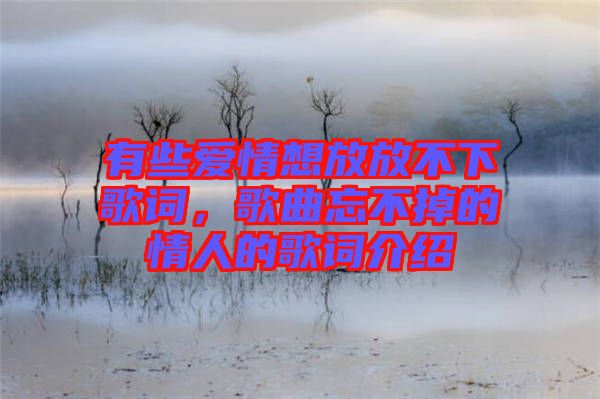 有些愛情想放放不下歌詞，歌曲忘不掉的情人的歌詞介紹