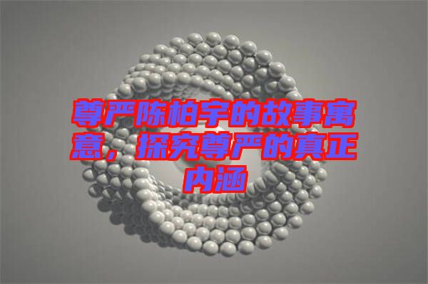 尊嚴(yán)陳柏宇的故事寓意，探究尊嚴(yán)的真正內(nèi)涵