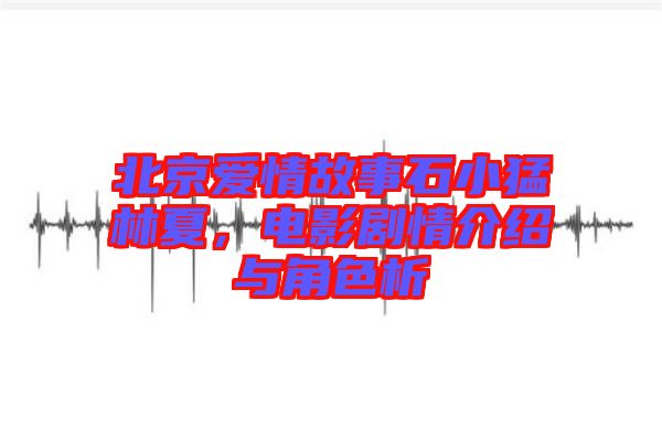 北京愛情故事石小猛林夏，電影劇情介紹與角色析