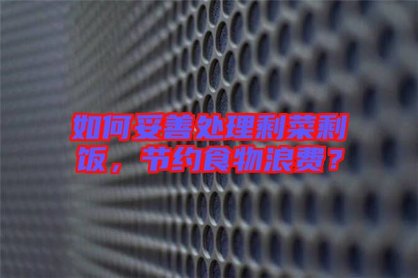 如何妥善處理剩菜剩飯，節(jié)約食物浪費(fèi)？