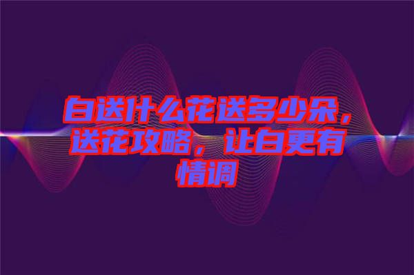 白送什么花送多少朵，送花攻略，讓白更有情調(diào)