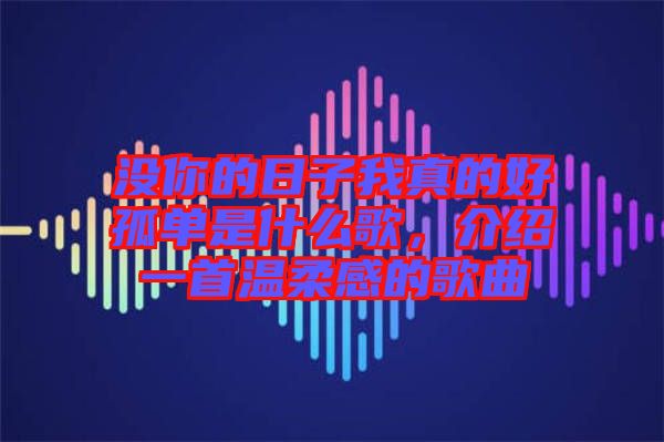 沒你的日子我真的好孤單是什么歌，介紹一首溫柔感的歌曲