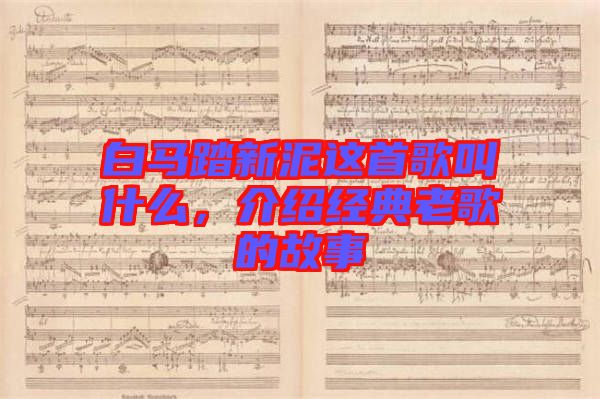 白馬踏新泥這首歌叫什么，介紹經(jīng)典老歌的故事