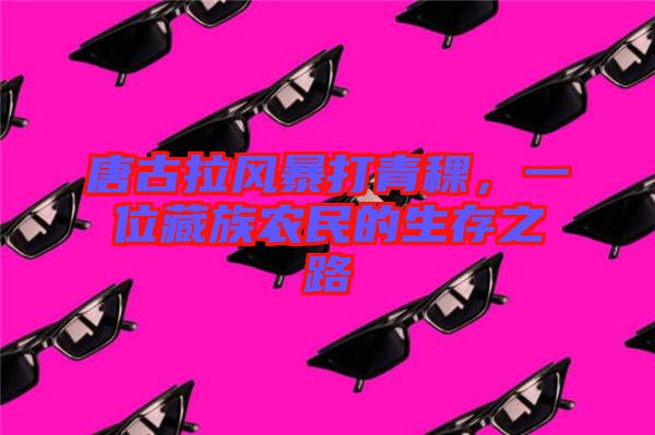 唐古拉風暴打青稞，一位藏族農(nóng)民的生存之路