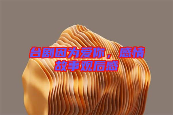 臺(tái)劇因?yàn)閻?ài)你，感情故事觀后感