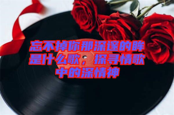 忘不掉你那深邃的眸是什么歌，探尋情歌中的深情神