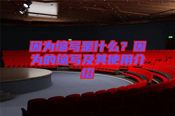 因?yàn)榭s寫是什么？因?yàn)榈目s寫及其使用介紹