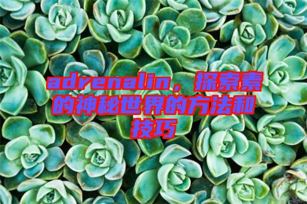 adrenalin，探索素的神秘世界的方法和技巧