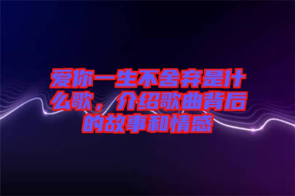 愛你一生不舍棄是什么歌，介紹歌曲背后的故事和情感