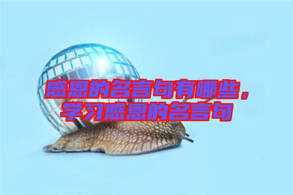 感恩的名言句有哪些，學(xué)習(xí)感恩的名言句