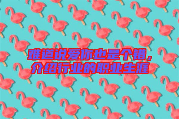 難道說愛你也是個(gè)錯(cuò)，介紹行業(yè)的職業(yè)生涯