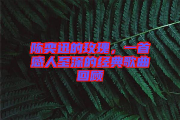 陳奕迅的玫瑰，一首感人至深的經(jīng)典歌曲回顧