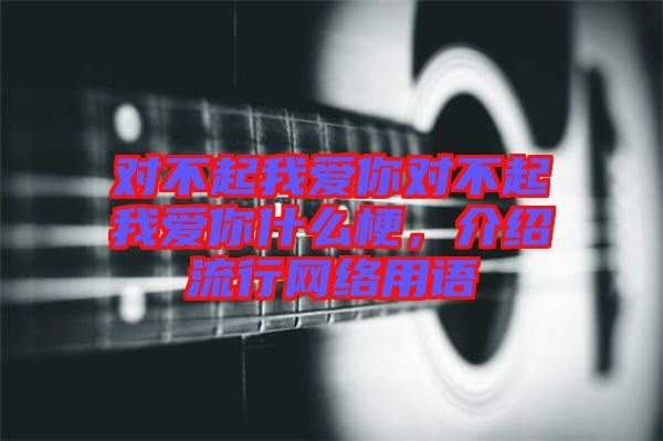 對不起我愛你對不起我愛你什么梗，介紹流行網(wǎng)絡(luò)用語