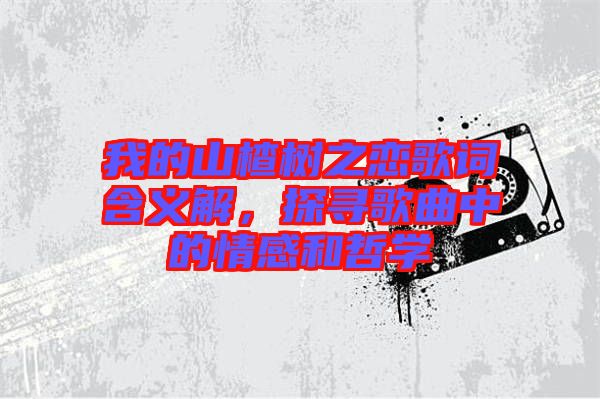 我的山楂樹(shù)之戀歌詞含義解，探尋歌曲中的情感和哲學(xué)