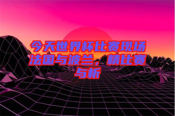 今天世界杯比賽現(xiàn)場法國與波蘭，精比賽與析