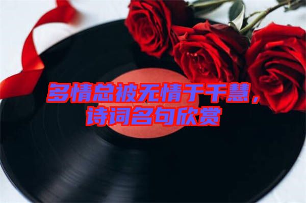 多情總被無情于千慧，詩詞名句欣賞