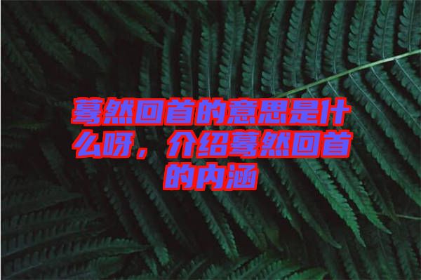 驀然回首的意思是什么呀，介紹驀然回首的內(nèi)涵