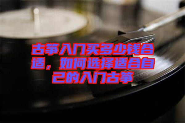 古箏入門買多少錢合適，如何選擇適合自己的入門古箏