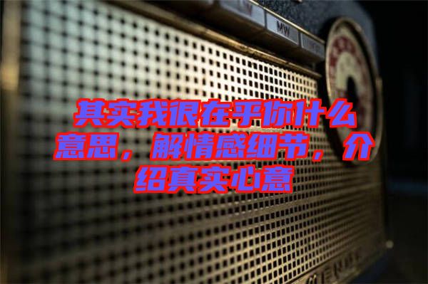 其實我很在乎你什么意思，解情感細節(jié)，介紹真實心意