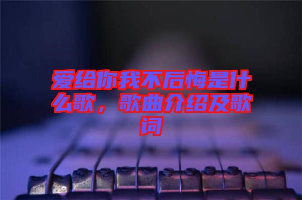 愛給你我不后悔是什么歌，歌曲介紹及歌詞