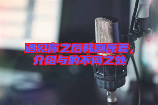 遇見你之后韓劇原著，介紹與的不同之處