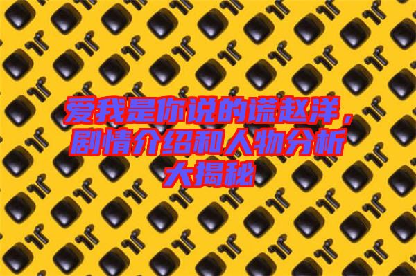 愛(ài)我是你說(shuō)的謊趙洋，劇情介紹和人物分析大揭秘