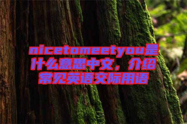 nicetomeetyou是什么意思中文，介紹常見英語交際用語