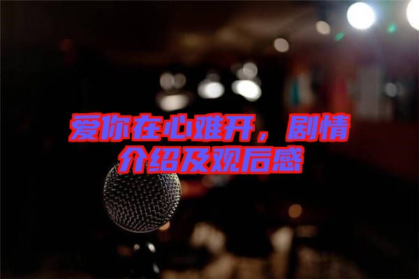 愛你在心難開，劇情介紹及觀后感