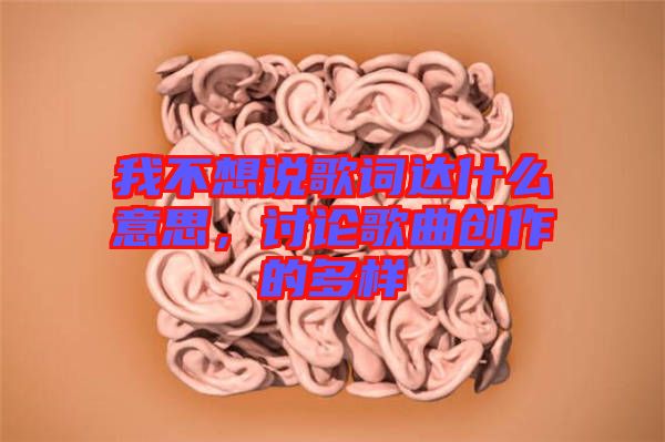我不想說歌詞達什么意思，討論歌曲創(chuàng)作的多樣