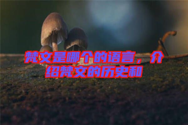 梵文是哪個的語言，介紹梵文的歷史和