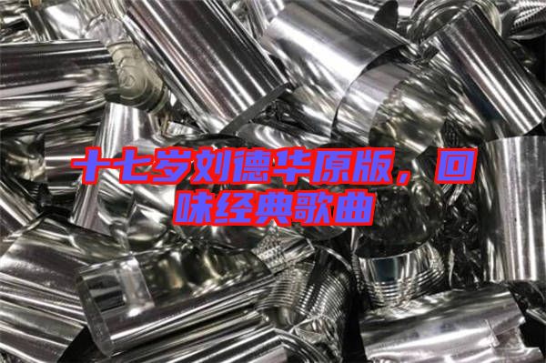十七歲劉德華原版，回味經(jīng)典歌曲