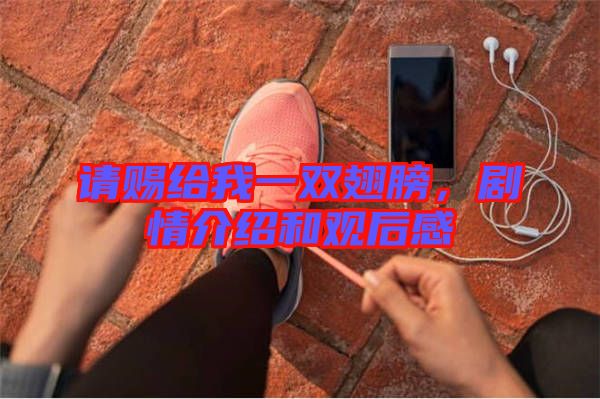 請(qǐng)賜給我一雙翅膀，劇情介紹和觀后感