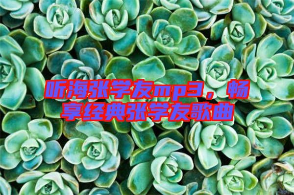 聽海張學(xué)友mp3，暢享經(jīng)典張學(xué)友歌曲