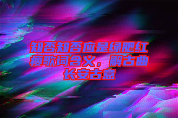 知否知否應(yīng)是綠肥紅瘦歌詞含義，解古曲長安古意