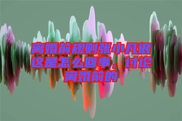 離婚前規(guī)則張小凡很這是怎么回事，討論離婚前的