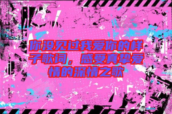 你沒見過我愛你的樣子歌詞，感受真摯愛情的深情之歌