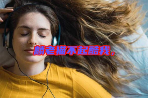 麟老貓不起酷我，
