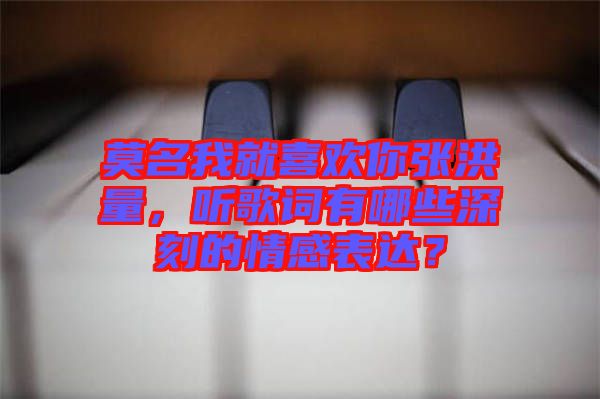 莫名我就喜歡你張洪量，聽(tīng)歌詞有哪些深刻的情感表達(dá)？