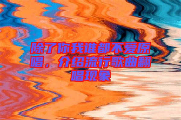 除了你我誰都不愛原唱，介紹流行歌曲翻唱現(xiàn)象