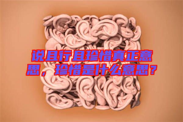 說且行且珍惜真正意思，珍惜是什么意思？