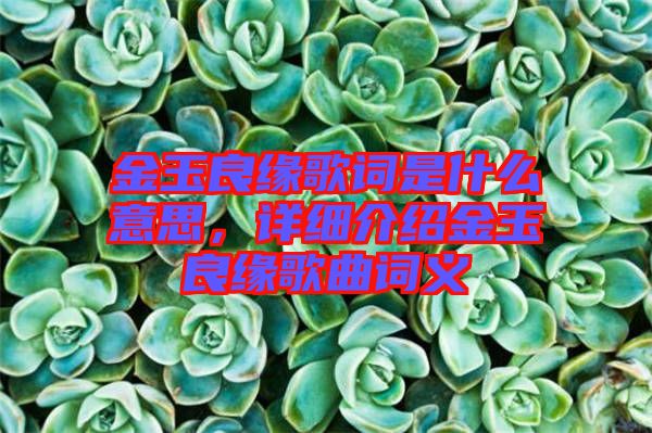 金玉良緣歌詞是什么意思，詳細(xì)介紹金玉良緣歌曲詞義