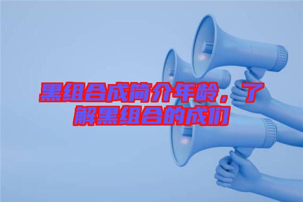黑組合成簡(jiǎn)介年齡，了解黑組合的成們