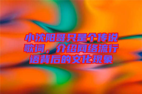 小沈陽(yáng)哥只是個(gè)傳說(shuō)歌詞，介紹網(wǎng)絡(luò)流行語(yǔ)背后的文化現(xiàn)象