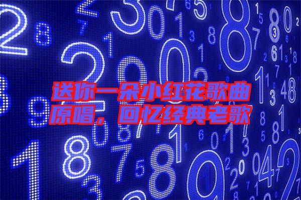送你一朵小紅花歌曲原唱，回憶經(jīng)典老歌