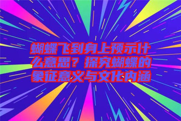 蝴蝶飛到身上預示什么意思？探究蝴蝶的象征意義與文化內(nèi)涵