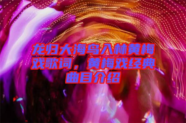 龍歸大海鳥入林黃梅戲歌詞，黃梅戲經(jīng)典曲目介紹
