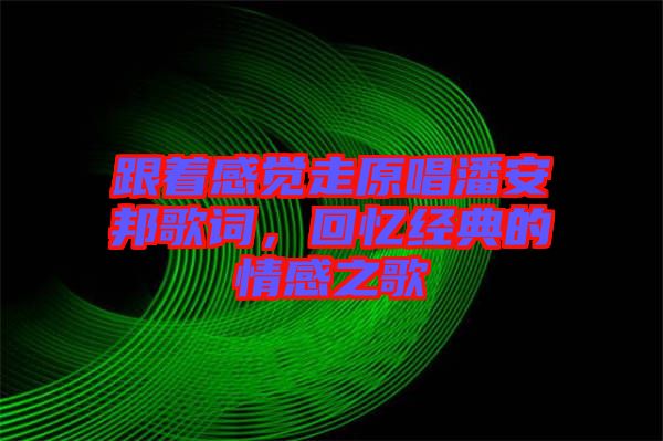 跟著感覺走原唱潘安邦歌詞，回憶經(jīng)典的情感之歌